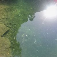 評論圖片 6