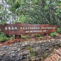 評論圖片 2