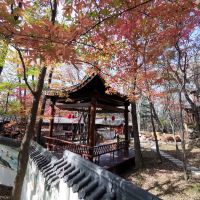 評論圖片 4