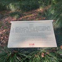 評論圖片 6