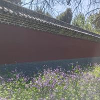 評論圖片 3
