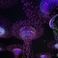 評論圖片 6