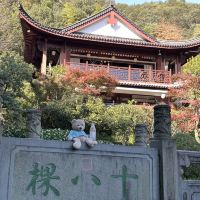 評論圖片 1
