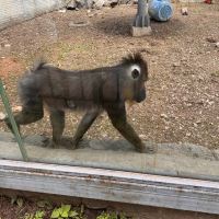 評論圖片 1