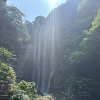 評論圖片 3
