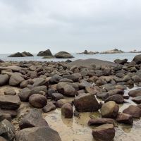 評論圖片 7