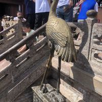 評論圖片 9