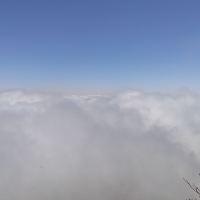 評論圖片 7