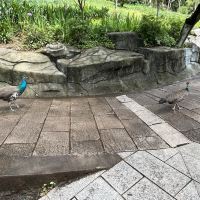 評論圖片 9