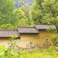 評論圖片 1