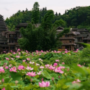 評論圖片 3