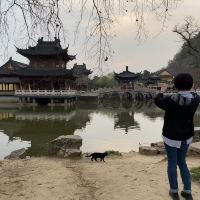 評論圖片 9