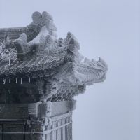 評論圖片 5