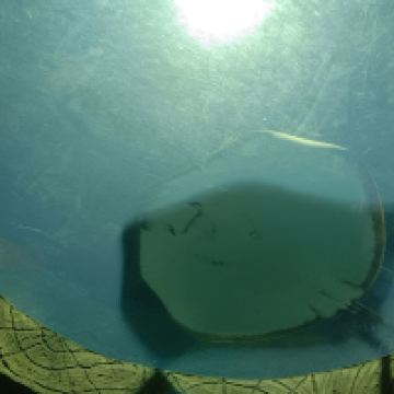 評論圖片 1