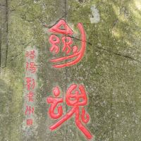 評論圖片 6