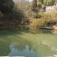 評論圖片 7