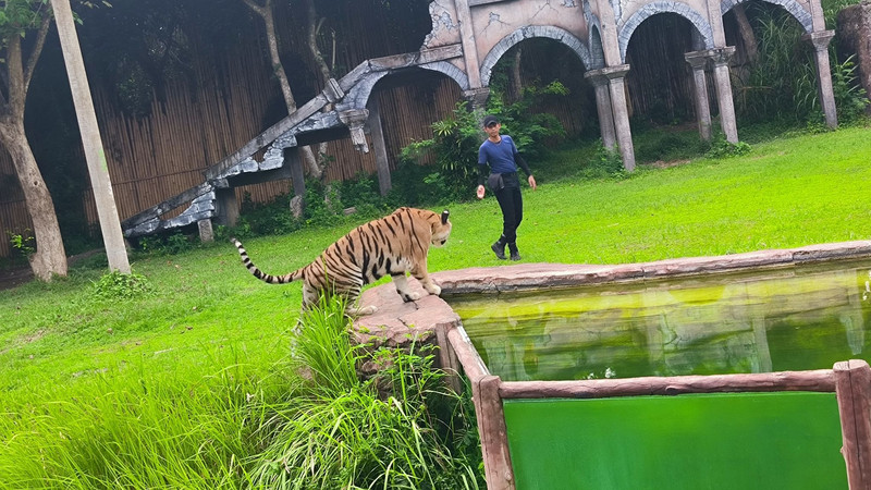 峇里島野生動物園和海洋公園用戶評價