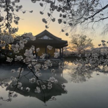 評論圖片 5