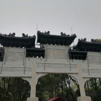 評論圖片 8