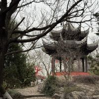 評論圖片 1