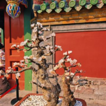 評論圖片 4