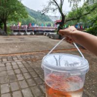 評論圖片 3