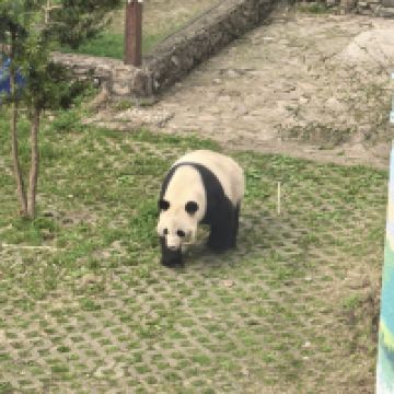 評論圖片 1
