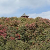 評論圖片 2