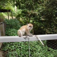 評論圖片 9
