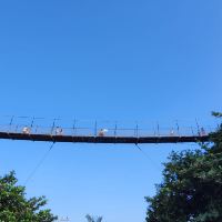 評論圖片 1