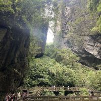 評論圖片 1