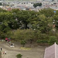 評論圖片 5