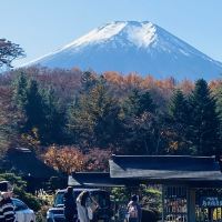 評論圖片 4
