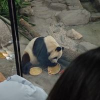 評論圖片 2