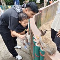評論圖片 3
