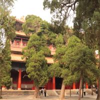 評論圖片 1