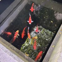 評論圖片 4