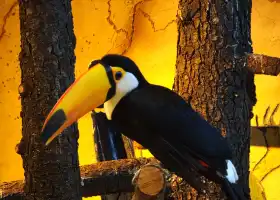 zoolungzoolung動物主題公園(東湖店)