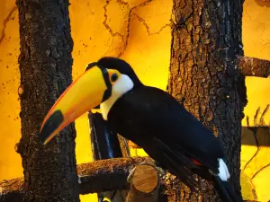 zoolungzoolung動物主題公園(東湖店)