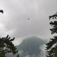 評論圖片 2