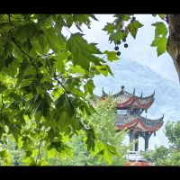 評論圖片 7