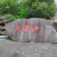 評論圖片 1