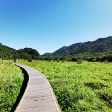評論圖片 7