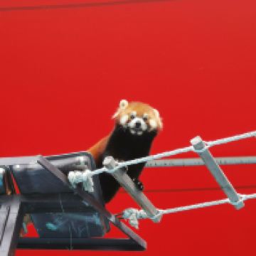評論圖片 8
