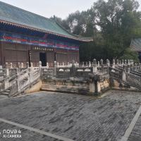 評論圖片 7