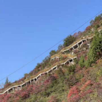 評論圖片 9