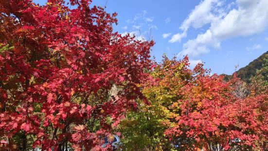 秋季老边沟红叶不可错过，景色很美，携程价格也优惠。特别满意的