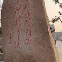 評論圖片 3