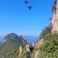 評論圖片 5