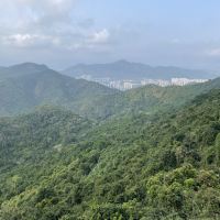 評論圖片 2